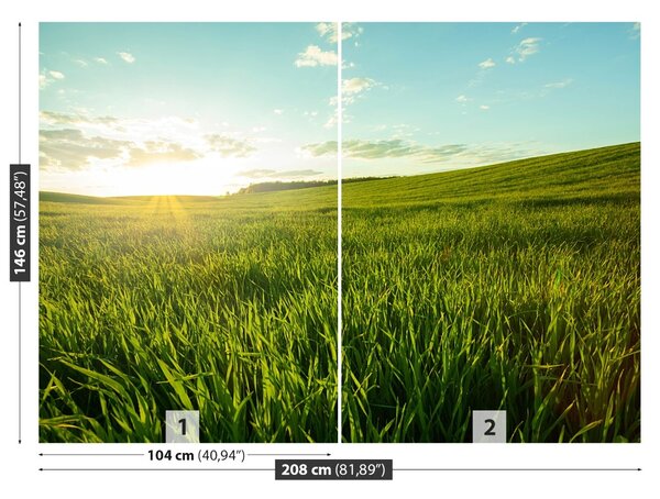Fototapet Green Meadow