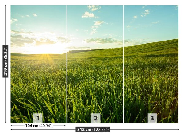 Fototapet Green Meadow