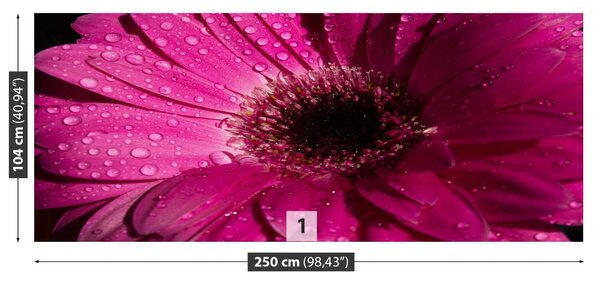 Fototapet Purple Gerbera