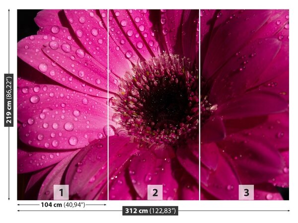 Fototapet Purple Gerbera