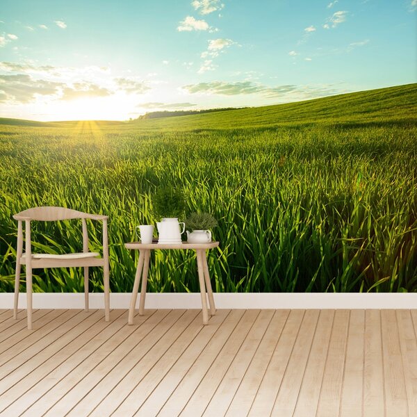 Fototapet Green Meadow