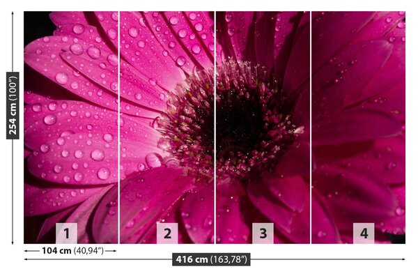 Fototapet Purple Gerbera