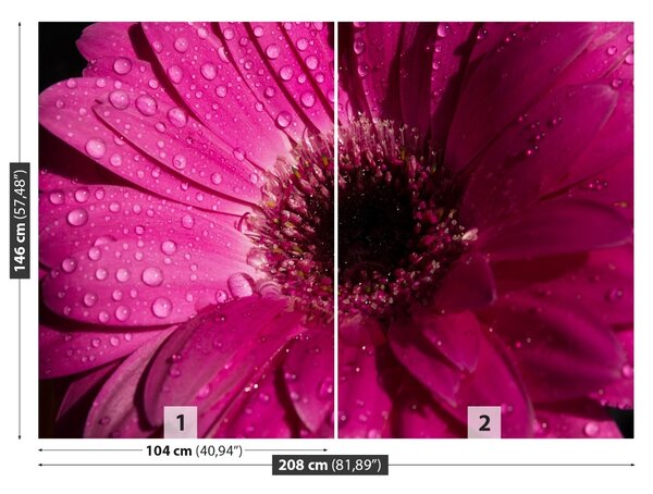 Fototapet Purple Gerbera