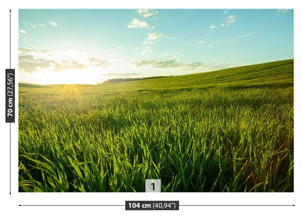 Fototapet Green Meadow