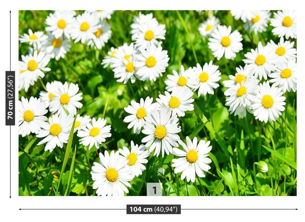 Fototapet Margarete Meadow