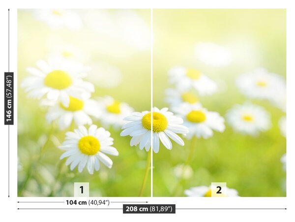 Fototapet Margarete Meadow