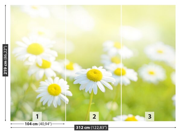 Fototapet Margarete Meadow