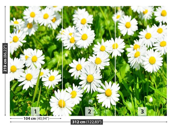 Fototapet Margarete Meadow