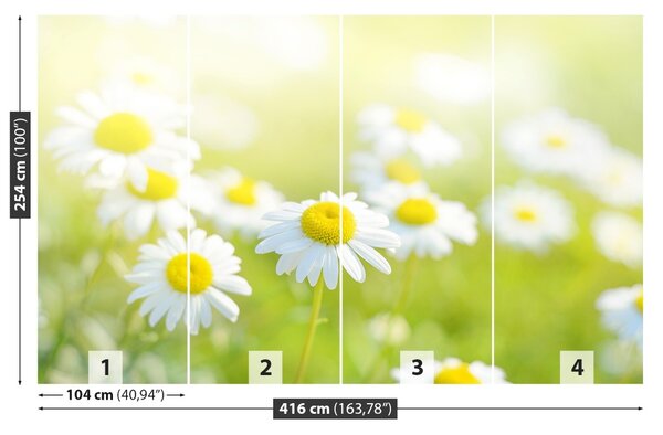 Fototapet Margarete Meadow