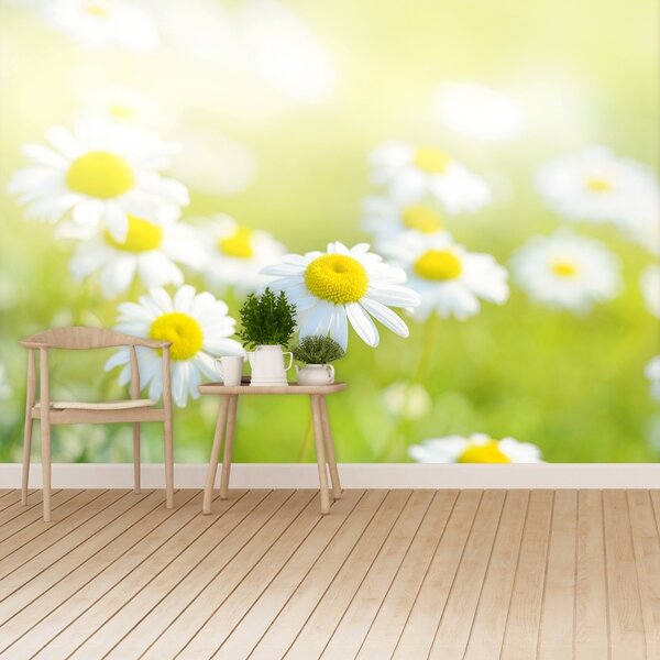 Fototapet Margarete Meadow