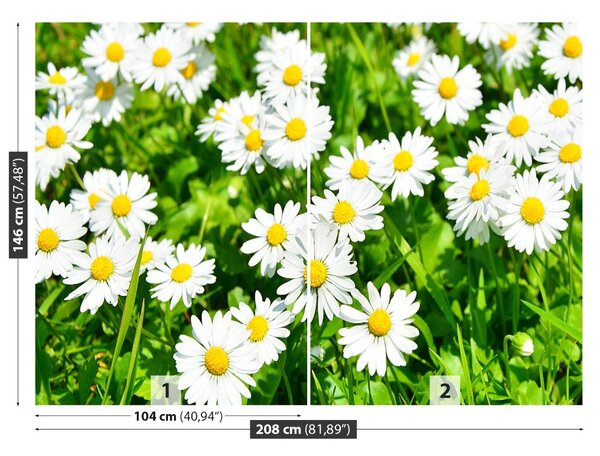 Fototapet Margarete Meadow