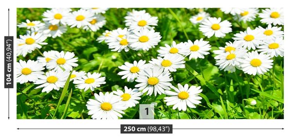 Fototapet Margarete Meadow