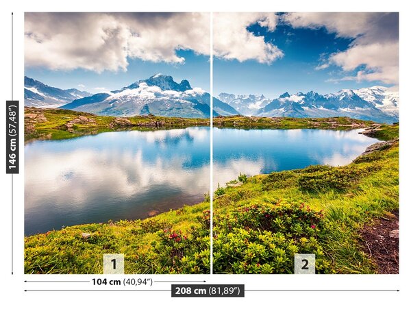 Fototapet Mont Blanc