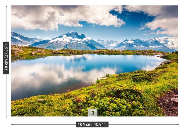 Fototapet Mont Blanc