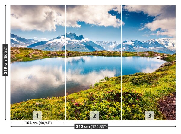 Fototapet Mont Blanc