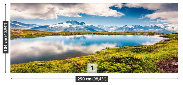 Fototapet Mont Blanc