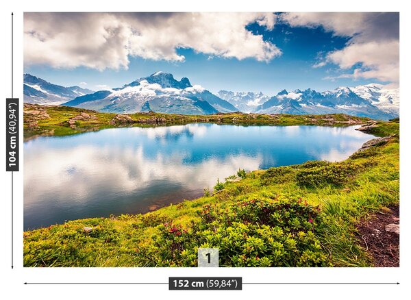 Fototapet Mont Blanc