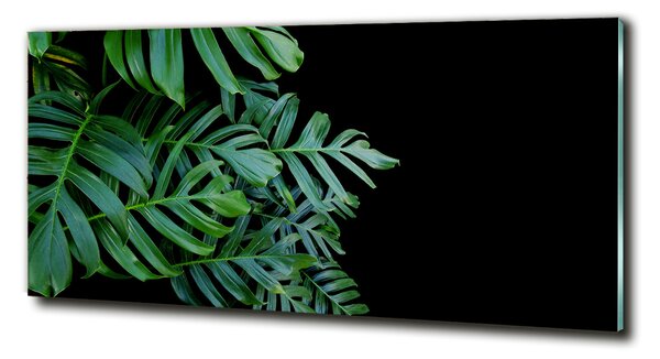 Fotografie imprimată pe sticlă Monstera