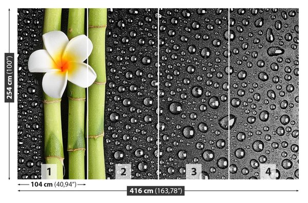 Fototapet frangipani flori