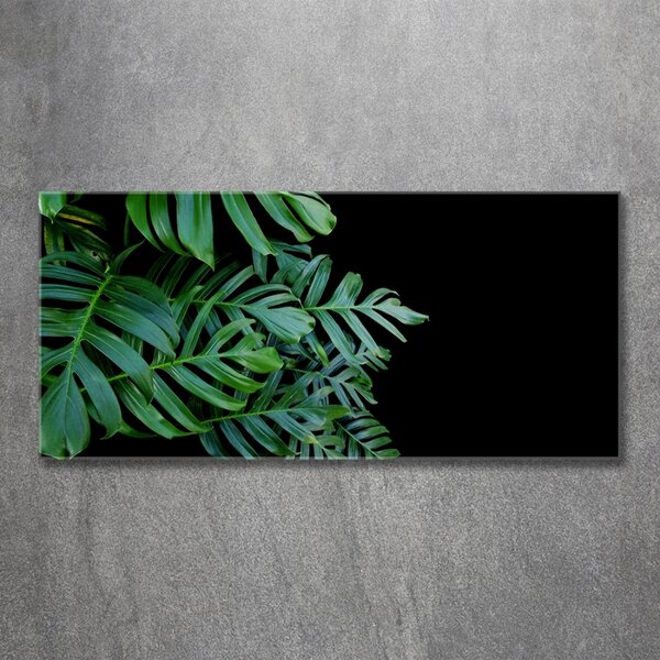 Fotografie imprimată pe sticlă Monstera