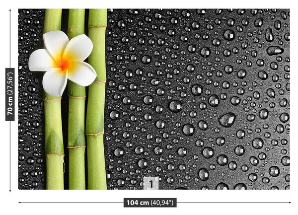 Fototapet frangipani flori