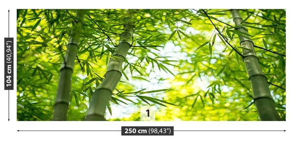 Fototapet Bamboo Branch