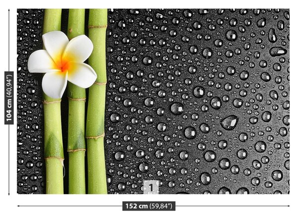 Fototapet frangipani flori