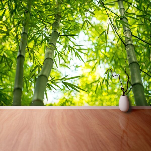 Fototapet Bamboo Branch