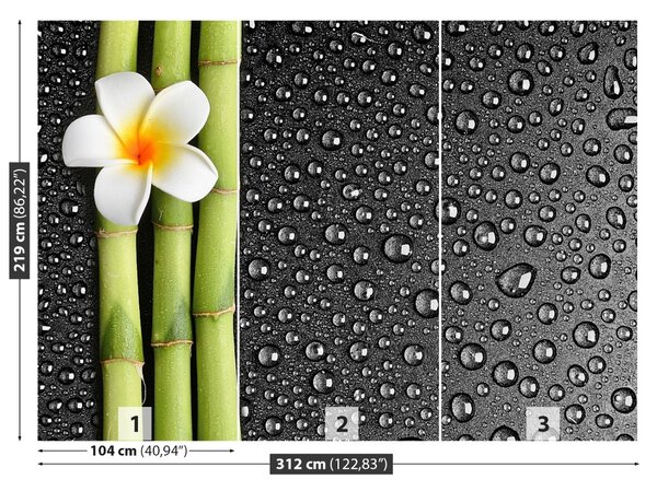 Fototapet frangipani flori