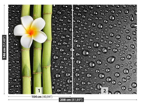 Fototapet frangipani flori