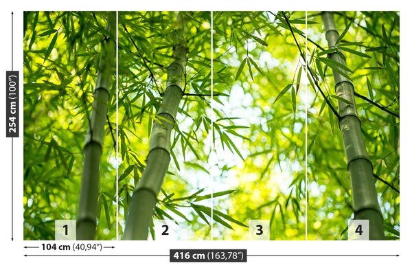 Fototapet Bamboo Branch