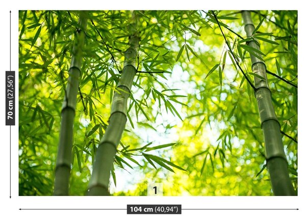Fototapet Bamboo Branch