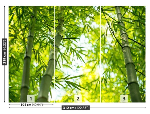 Fototapet Bamboo Branch