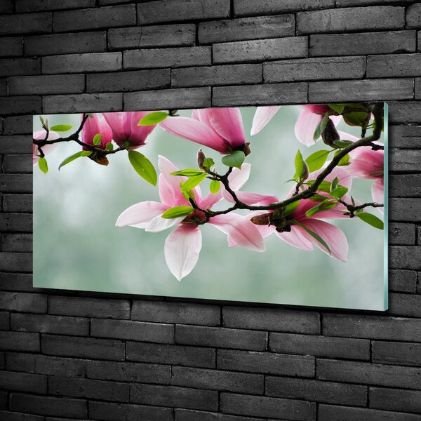Tablou Printat Pe Sticlă Magnolie