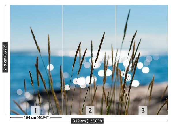 Fototapet Reed Water