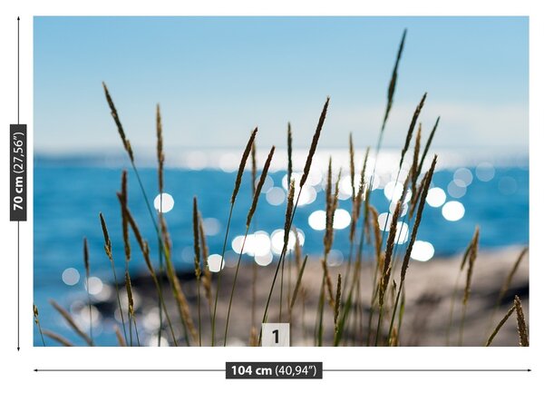 Fototapet Reed Water
