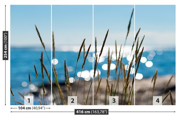 Fototapet Reed Water