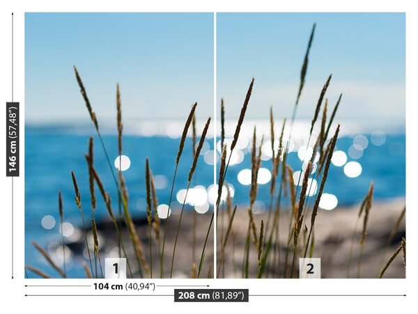 Fototapet Reed Water