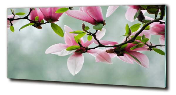 Tablou Printat Pe Sticlă Magnolie