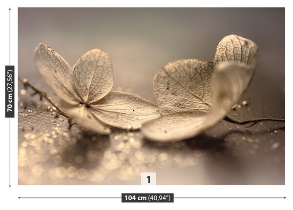 Fototapet bej Hortensie