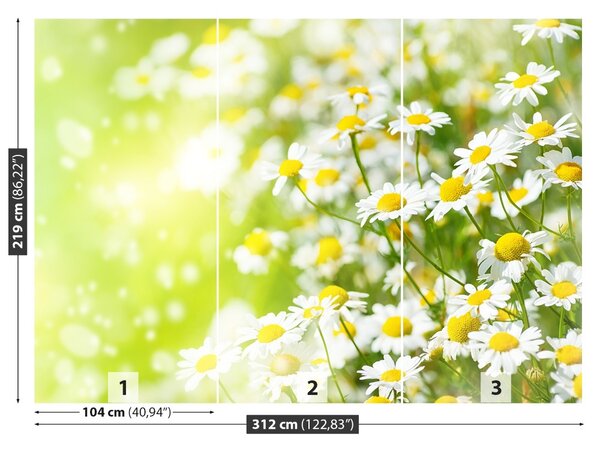 Fototapet Muşeţel
