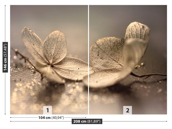 Fototapet bej Hortensie