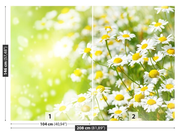 Fototapet Muşeţel