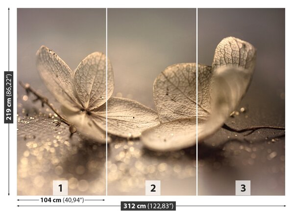 Fototapet bej Hortensie
