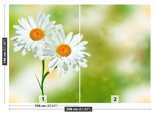 Fototapet alb muşeţel
