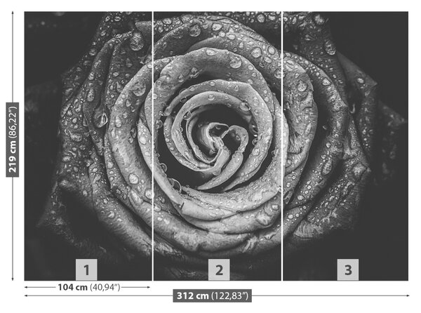 Fototapet Rose negru