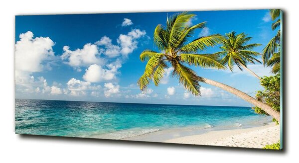 Tablou pe pe sticlă plaja Maldive