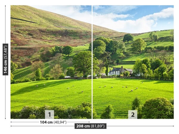 Fototapet Spring Cumbria