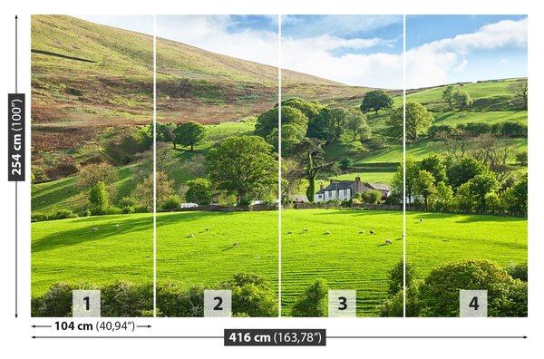 Fototapet Spring Cumbria