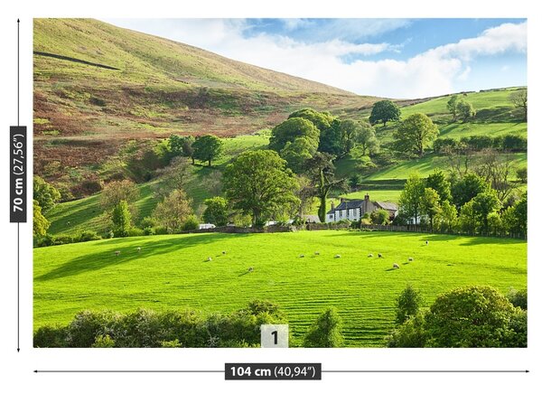 Fototapet Spring Cumbria